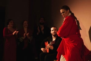 spettacolo di flamenco tradizionale di un'ora presso il Centro Cultural