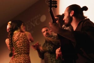 spettacolo di flamenco tradizionale di un'ora presso il Centro Cultural