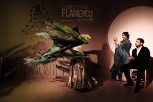 1 uur traditionele flamenco show in Centro Cultural