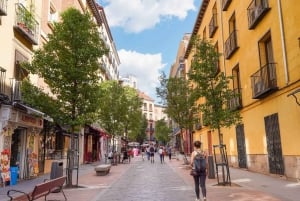 Madrid 3-Hour Sightseeing Tour