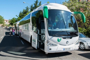 Madrid: 4-Hour Bus Tour with Royal Palace Admission