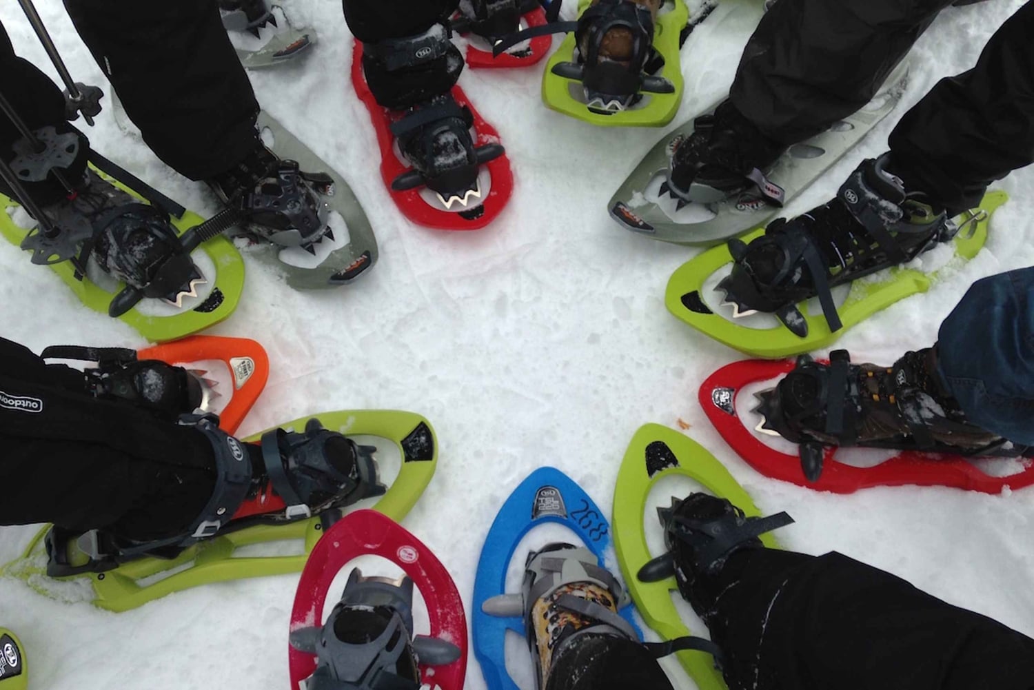 Madrid: 4-Hour Snowshoe Hiking