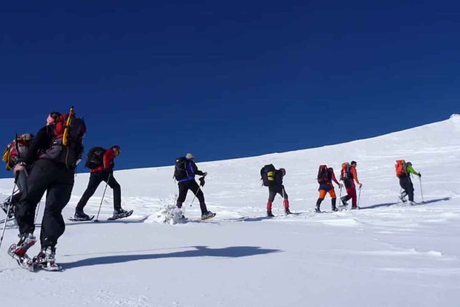 Madrid: 4-Hour Snowshoe Hiking