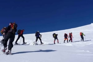 Madrid: 4-Hour Snowshoe Hiking