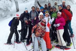 Madrid: 4-Hour Snowshoe Hiking