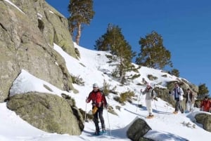 Madrid: 4-Hour Snowshoe Hiking