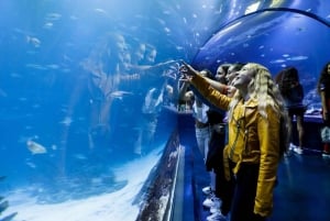 Madrid: Atlantis Aquarium Entry Ticket