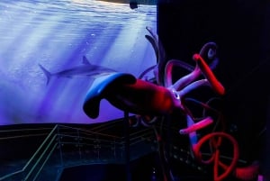 Madrid: Atlantis Aquarium Entry Ticket