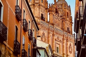 Från Madrid: Ávila och Salamanca en dag bland historia och murar