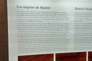 Madrid: Grunnleggende omvisning i De kongelige samlingers galleri