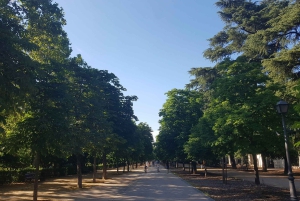 Madridin pyöräretki Churrosin sekä kinkun ja viininmaistelun kanssa Vaihtoehto
