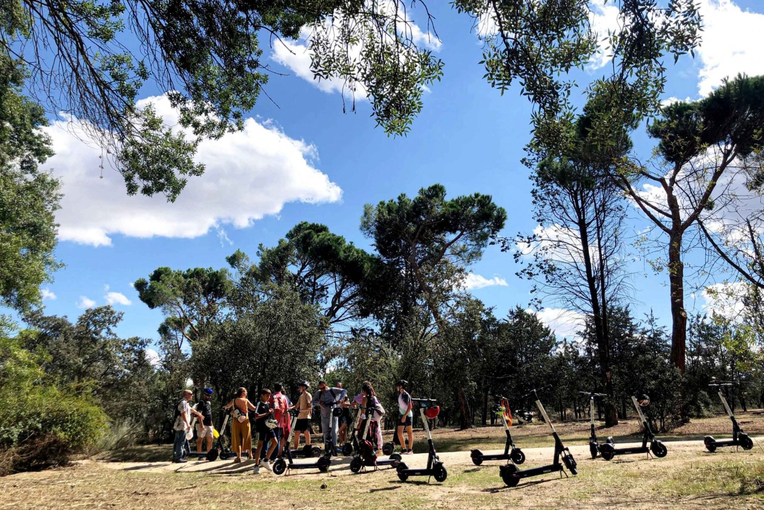 Madrid: Casa de Campo Guided Park Tour with Electric Scooter