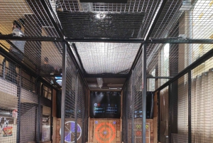 Madrid Centro: AXE THROWING