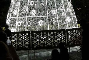 Madrid Christmas Lights Tuk-Tuk Tour w/pick up included!