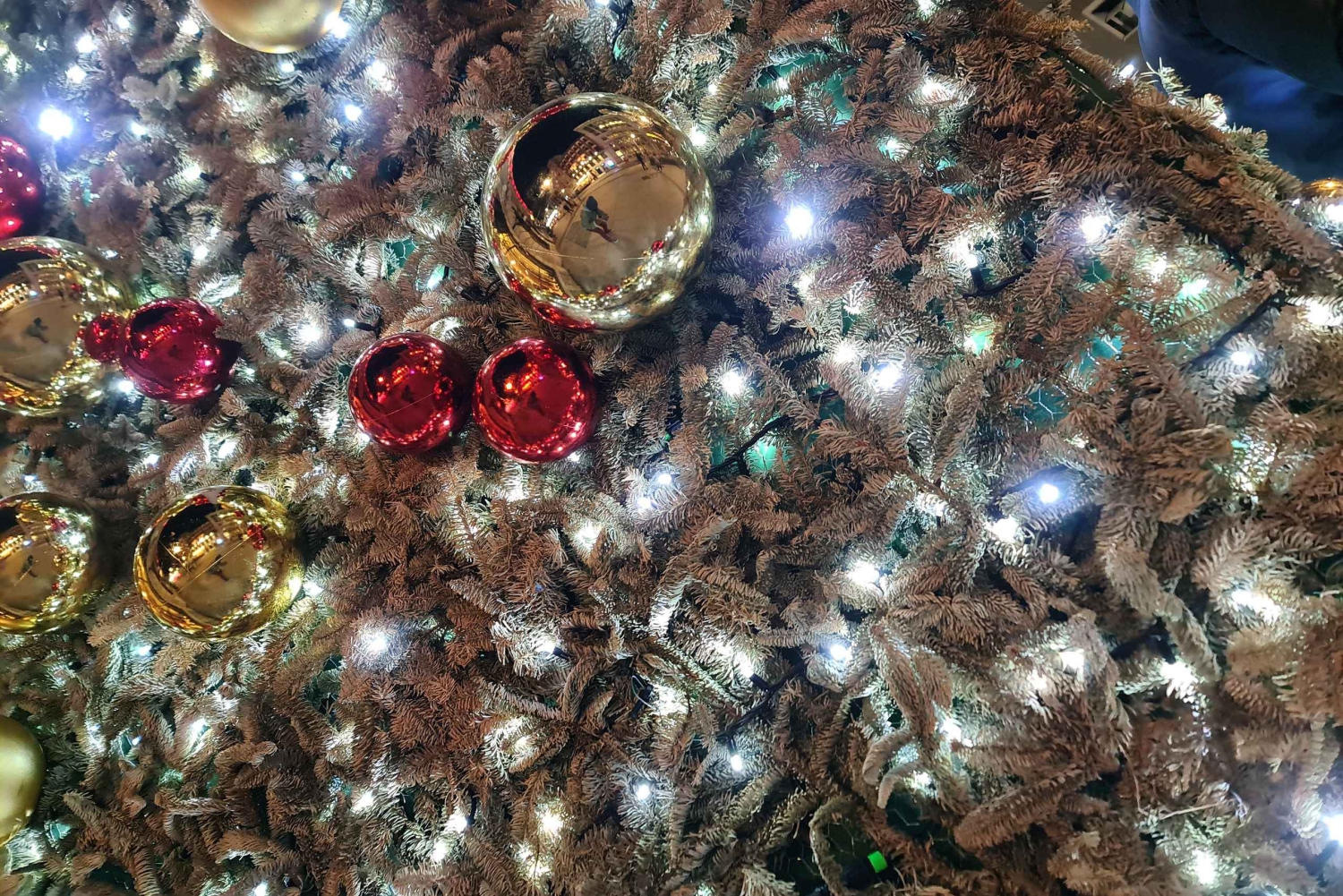 Madrid: Julrundvandring med julkrubba