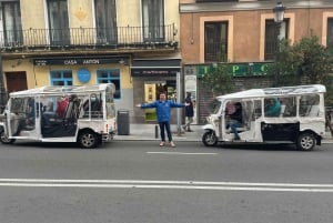 Madrid: City Highlights Tuk Tuk Tour