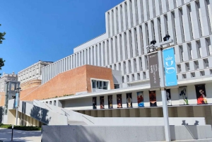 Madrid City Pass : Prado, Thyssen, Bernabéu, flamenco et bien plus encore