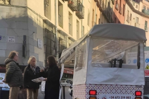 Madrid: Stadsrondleidingen - 6 zitplaatsen ecologische privétuk tuk