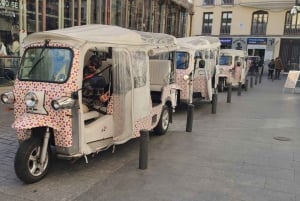 Madrid: Stadsrondleidingen - 6 zitplaatsen ecologische privétuk tuk