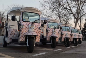 Madrid: Stadsrondleidingen - 6 zitplaatsen ecologische privétuk tuk