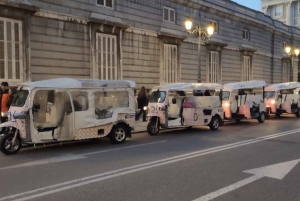 Madrid: Stadsrondleidingen - 6 zitplaatsen ecologische privétuk tuk