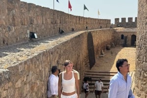 Madrid: Tour Consuegra Molinos del Quijote y Castillo de la Muela