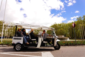 Madrid: Ontdek de stad per elektrische privé Tuk Tuk