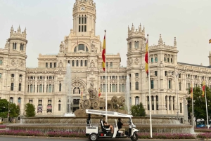 Madrid : Découvrez la ville en Tuk Tuk électrique privé