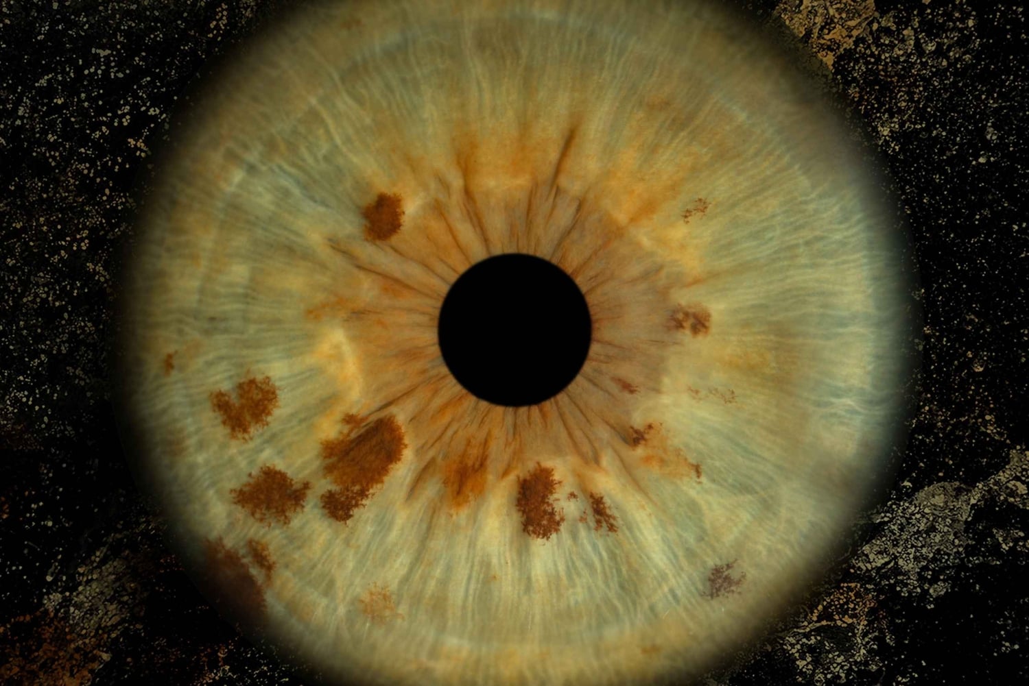 Madrid: Opdag farverne i din iris med print inkluderet