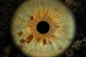 Мадрид: откройте для себя цвета вашей радужки с включенной печатью