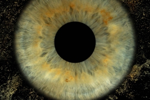 Мадрид: откройте для себя цвета вашей радужки с включенной печатью