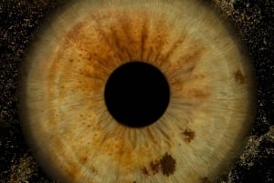 Madrid: Opdag farverne i din iris med print inkluderet