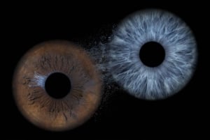 Madrid: Opdag farverne i din iris med print inkluderet