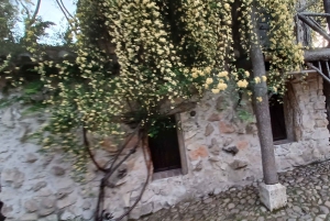 Madrid: tour del parco El Capricho