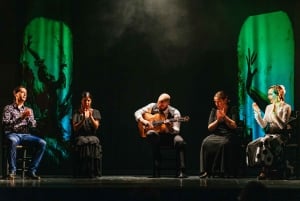 Madri: Apresentação de flamenco ao vivo 'Emociones