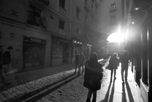 Madrid: Enchanted Evening Walking Tour in Spanish