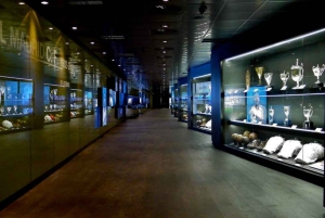 Madrid: privat rundvisning på Santiago Bernabéu