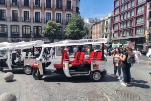 Madrid : explorez la ville en tuk-tuk électrique