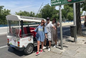 Madrid : explorez la ville en tuk-tuk électrique