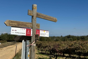 Madrid: Explora la Ruta del Cid, Un Viaje Épico