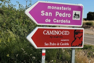 Madrid: Explora la Ruta del Cid, Un Viaje Épico