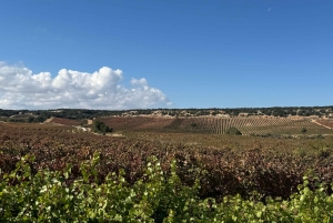 Madrid : Explorez la route du Cid, un voyage épique