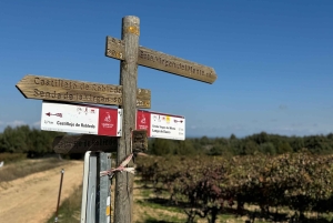 Madrid : Explorez la route du Cid, un voyage épique