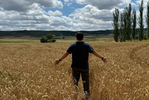 Madrid : Explorez la route du Cid, un voyage épique