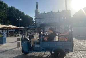Madrid: Private Panoramic Tuk Tuk Tour (90 min).