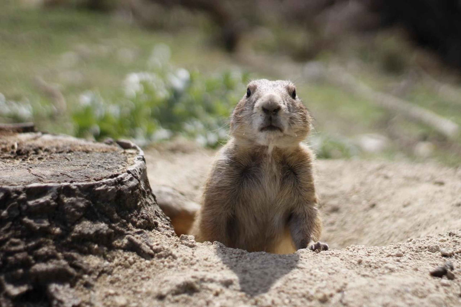 Madrid: Faunia Entry Ticket