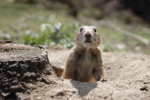 Madrid: Faunia Entry Ticket