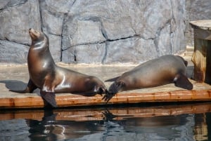 Madrid: Faunia Entry Ticket