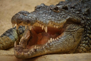 Madrid: Faunia Entry Ticket