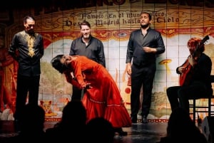 Madrid: Authentieke Flamenco Show bij Flamenco de Leones